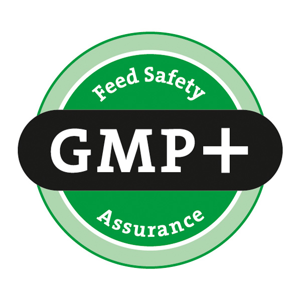 Logo GMP 600